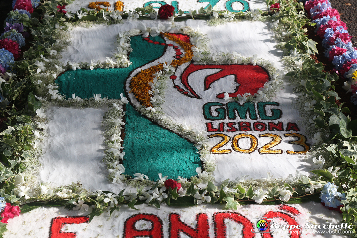 VBS_9577 - Infiorata di Villanova d'Asti 2023.jpg
